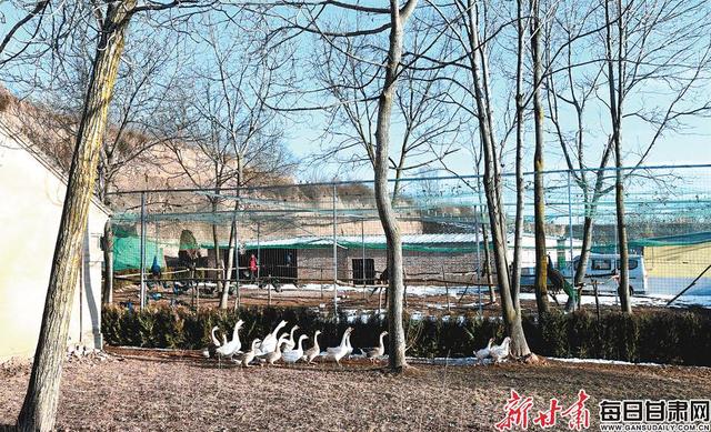 beat365亚洲体育官方网站:U22小将杨一虎:“福星”称号不敢当于海是榜样(图1) beat365官网