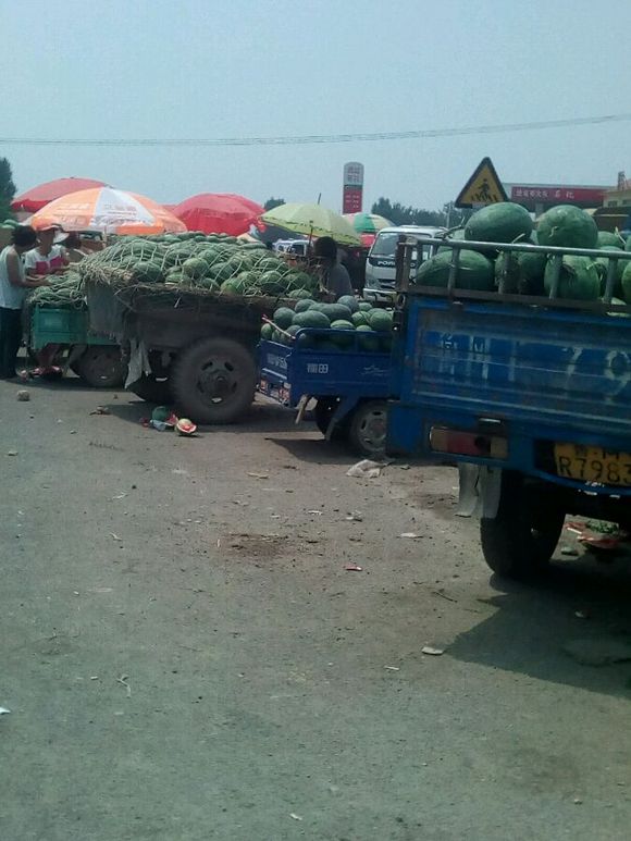 专家建议:种养合作社亟待加快转型发展【beat·365】(图2) beat·365