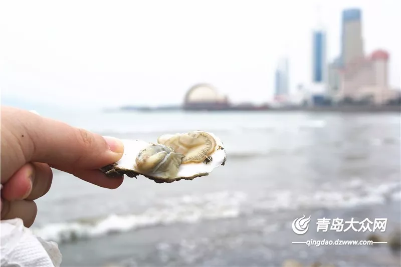 beat·365-沃尔沃在华公布全新战略 S90长轴版首发(图1) beat365亚洲体育官方网站