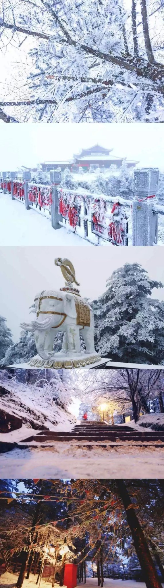 beat365亚洲体育官方网站