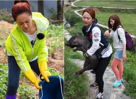 方舟生存进化腔棘鱼可以驯服吗 手机版腔棘鱼属性和分布_beat365官网(图2) beat365官网