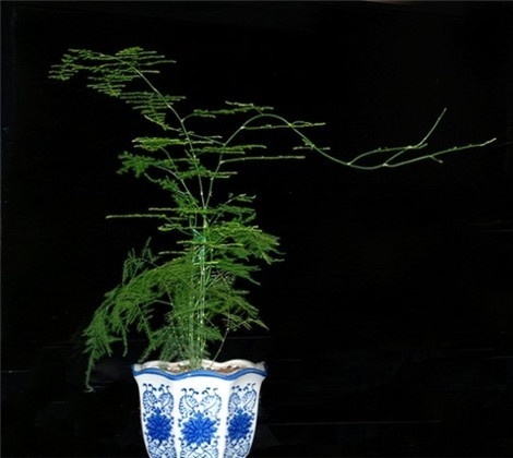 beat365亚洲体育官方网站-乐高无限建筑搭建教学 恐龙时代场景专题(图2) beat365亚洲体育官方网站