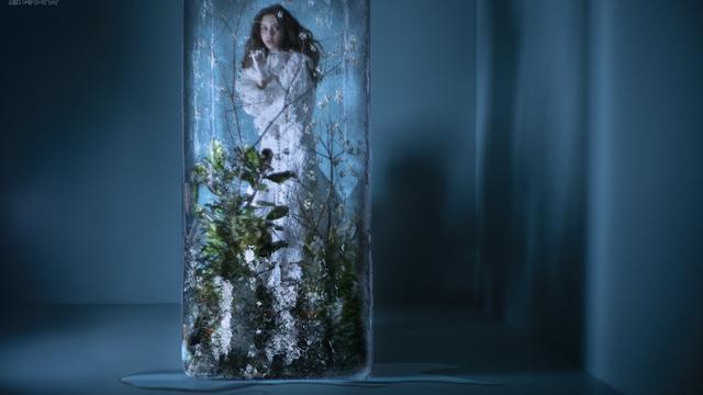 beat365亚洲体育官方网站-农业部在白洋淀举办水生生物增殖放流活动(图2) beat365官网