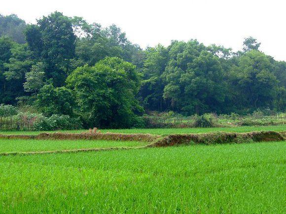 【beat365亚洲体育官方网站】奶牛镇的小时光马露喜欢什么 马露好感度怎么加(图4) beat·365