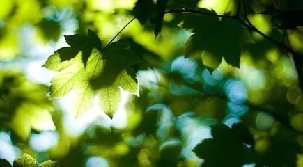 上汽拿下首张路测牌照 首款智能驾驶车年内上市_beat365官网(图3) beat365亚洲体育官方网站