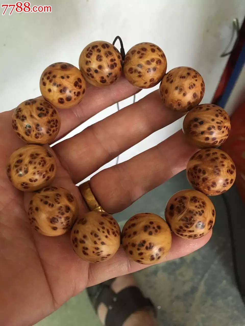 碧蓝航线Z21怎么样 Z21技能属性资料图鉴【beat365亚洲体育官方网站】(图1) beat365亚洲体育官方网站