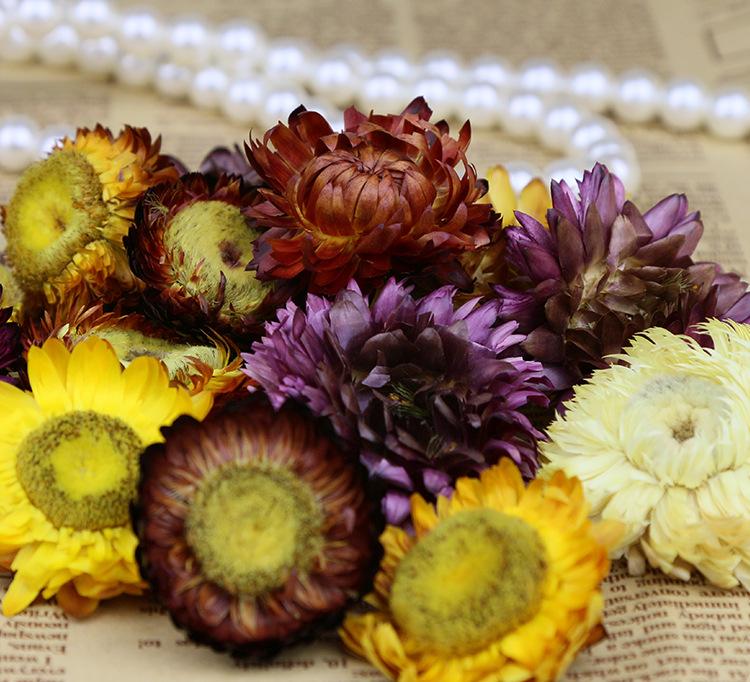 “beat365亚洲体育官方网站”王大雷赛前豪言零封对手 日本三球侮辱申花狂人(图1) beat365官网