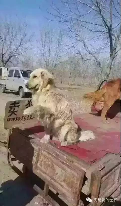 “beat365亚洲体育官方网站”世界杯新玩法 新能源汽车嘉年华邀你嗨爆今夏(图1) beat·365