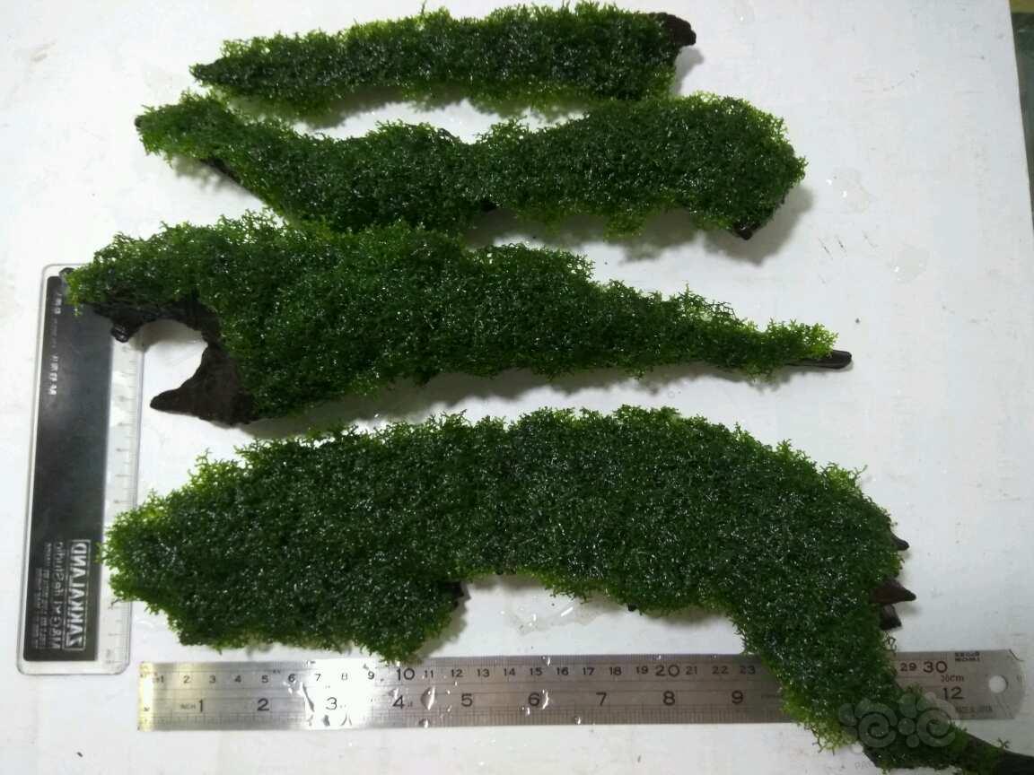 老公溜了鸭第7关攻略 老公溜了鸭第七关怎么过|beat·365(图2) beat·365