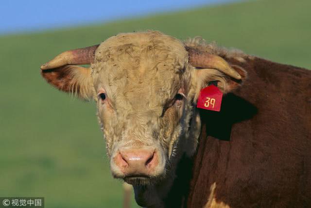 beat365亚洲体育官方网站